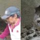 Sejumlah pekerja dari PT TPL saat melakukan perbaikan Jembatan penghubung Desa Situmbaga dengan Kota Sipirok.(Waspada/ist)