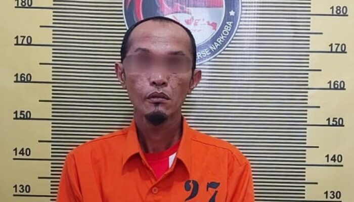 Polres Sibolga Tangkap Penyalahguna Ganja