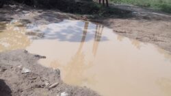 RUAS jalan di Desa Pangkalan Siata, Kec. Pangkalansusu, rusak parah. Waspada/Ist