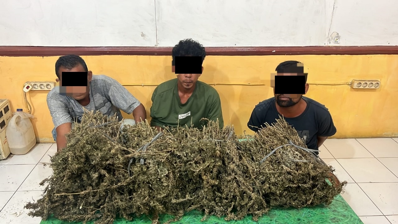 Petugas memperlihatkan 3 terduga penyalahgunaan narkotika jenis ganja, yang diamankan di kawasan wisata Pantai Cemara Indah, Kecamatan Susoh, pada Rabu (8/5malam ) lalu, di ruang Satres Narkoba Polres Abdya, Kamis (9/5).Waspada/Syafrizal