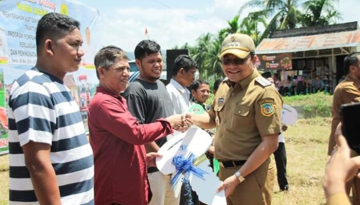 Edy Junaedi Dorong Perluasan Dan Peningkatan Produksi Padi Di Palas