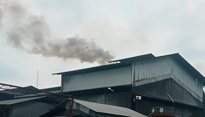 Udara Di Seputar PKS PT SJMS Bau Dan Sesakkan Nafas
