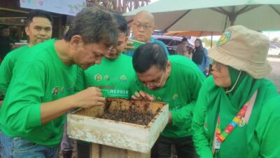 IKA USU Tanam 20.000 Bibit Mangrove Di Desa Beras Basah, Langkat