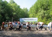 Yayasan AHM Tanam Puluhan Ribu Mangrove