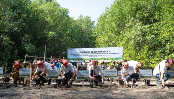 Yayasan AHM Tanam Puluhan Ribu Mangrove