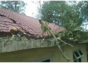 Pohon Tumbang Rusak Kantor PWI Aceh Besar