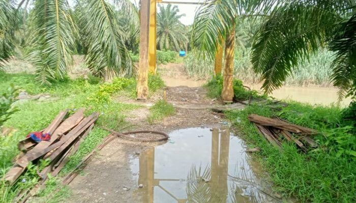 Pemkab Aceh Tamiang Akan Bangun Kembali Jembatan Gantung
