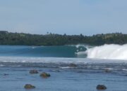 Hari Ini Event World Surf League QS 5000 Nias Pro 2024 Dimulai