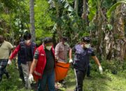Tiga Hari Menghilang, Pemanjat Kelapa Ditemukan Tak Bernyawa Di Kebun Kelapa