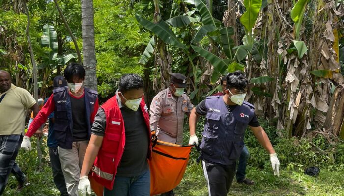 Tiga Hari Menghilang, Pemanjat Kelapa Ditemukan Tak Bernyawa Di Kebun Kelapa