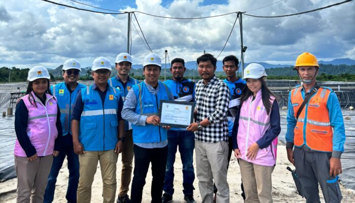 PT Azzahra Bersaudara Shrimp, Pioneer Tambak Udang Dengan REC Pertama Di Sibolga