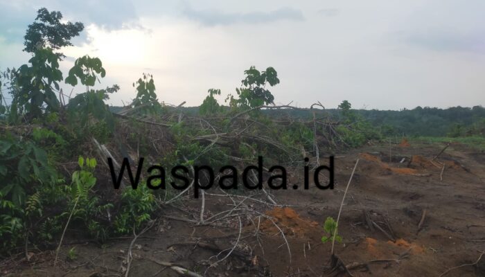 Distan Labura Terkesan Enggan Buka Data PSR 2023