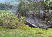 Lahan Ilalang Terbakar Di Krueng Raya
