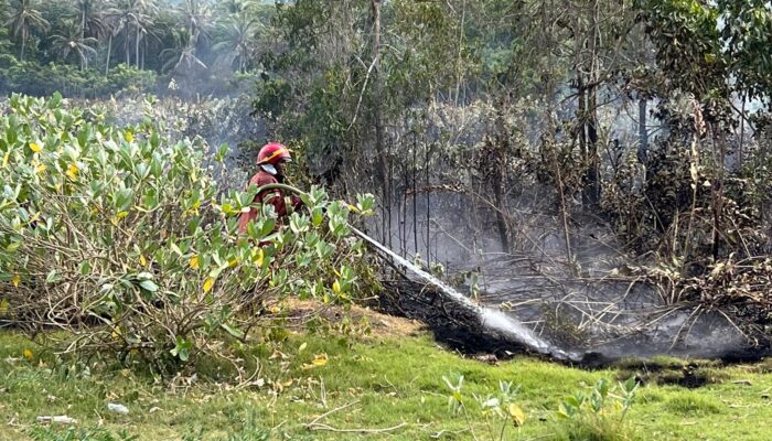 Lahan Ilalang Terbakar Di Krueng Raya