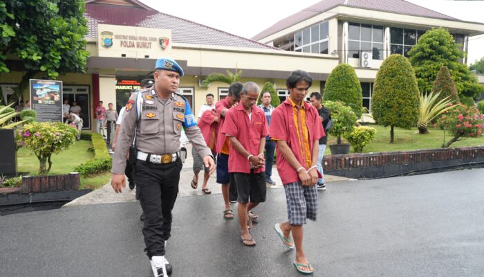 Dua Wajah Penanganan Pencurian Sawit: Kelalaian Vs Aksi Cepat