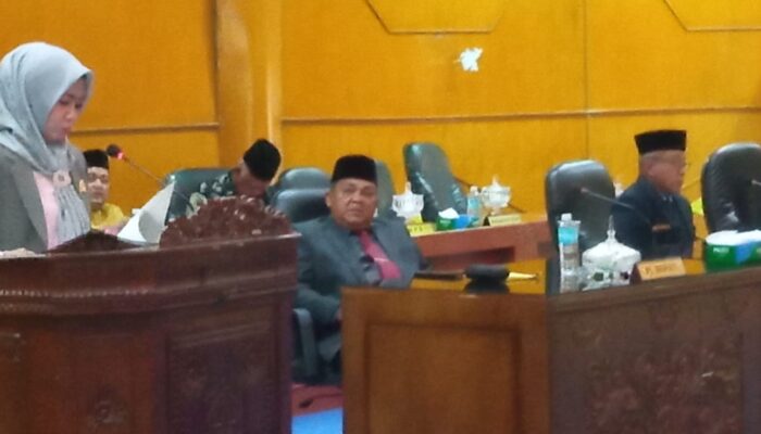 Fraksi Amanat Persatuan Dan Keadilan Menilai Banyak Bantuan Tidak Tepat Sasaran Di Aceh Tamiang