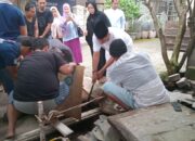 Rahudman Harahap Dan Keluarga Berkurban 2 Lembu, 2 Kambing Di Hari Raya Idul Adha
