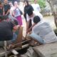 Rahudman Harahap Dan Keluarga Berkurban 2 Lembu, 2 Kambing Di Hari Raya Idul Adha