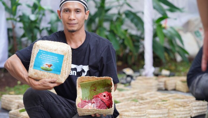 BSI Regional 2 Medan Salurkan 51 Hewan Kurban Untuk Masyarakat