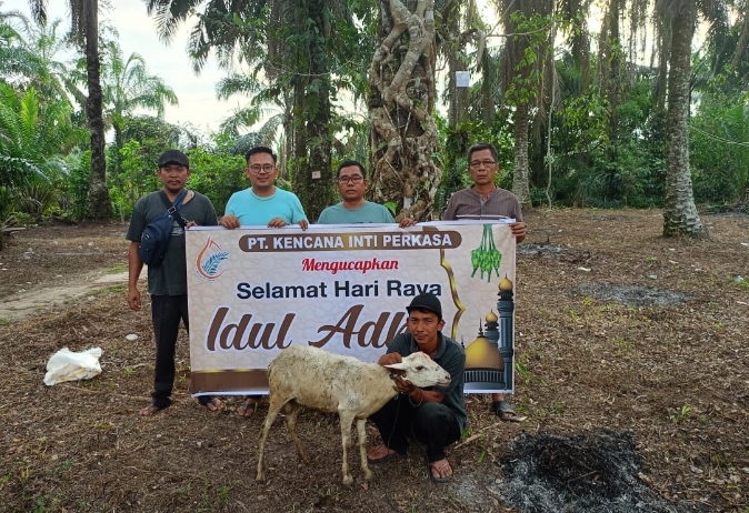 Idul Adha 1445 H, PT. KIP Bagikan Lima Hewan Kurban