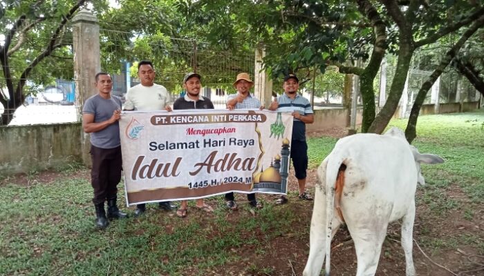 Idul Adha 1445 H, PT. KIP Bagikan Lima Hewan Kurban
