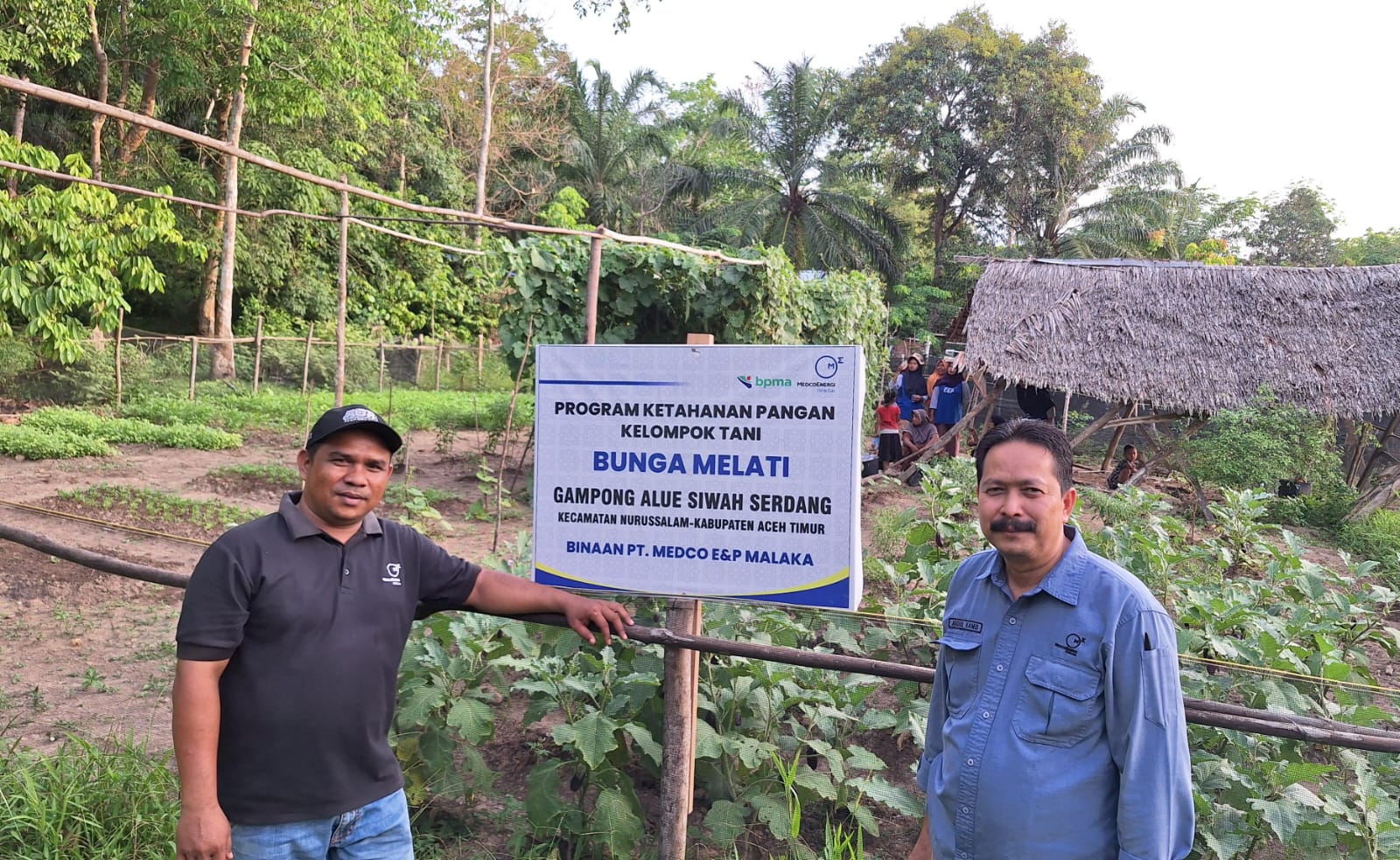 Hasil Tanaman Program P3L Binaan Medco Mulai Dipanen