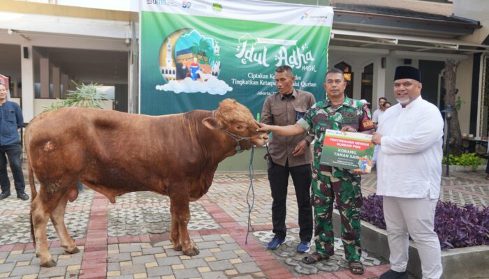 Idul Adha 1445 H, PGN Bagikan 382 Hewan Qurban Di Sekitar Wilayah Operasional