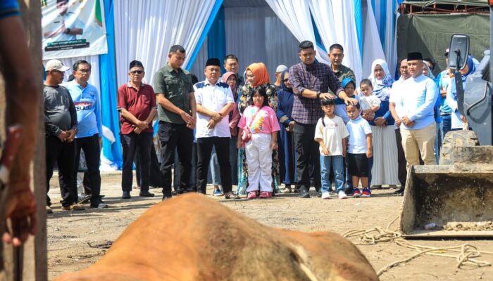 Bobby Nasution Saksikan Penyembelihan 92 Hewan Kurban Jajaran Disdikbud Medan