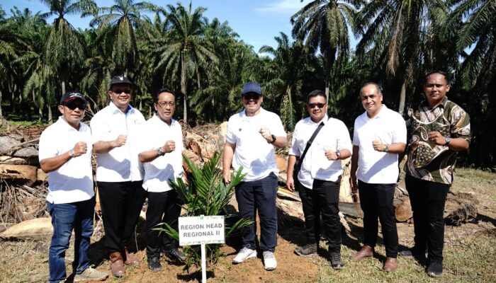 PTPN IV Regional II Tanam Perdana Kelapa Sawit 107 Ha Di Kebun Plasma KUD Tani Makmur Langkat
