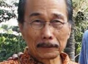 Rencana Mendirikan Ibu Kota Baru Di Kalimantan (1)