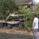 Pohon Tumbang Dihantam Angin Kencang