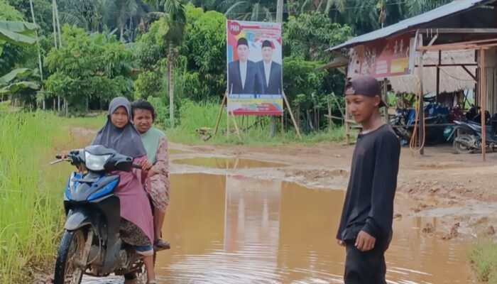 Baliho Bacalon Bupati Palas PMA-AFN Menyebar Hingga Ke Pelosok