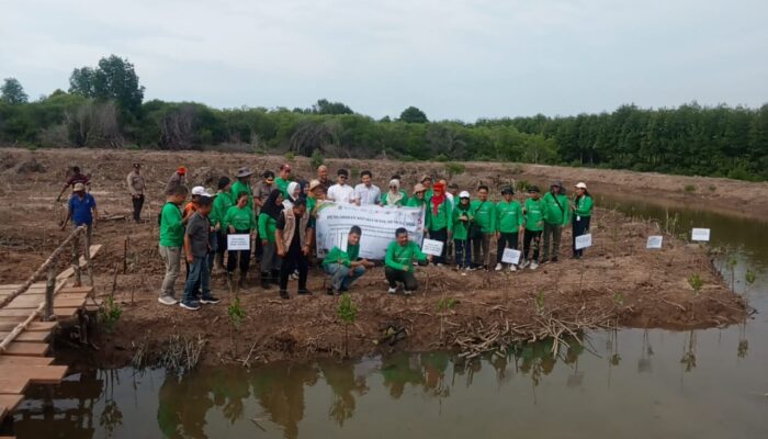 IKA USU Tanam 10 Ribu Pohon Mangrove Di Pesisir Pangkalansusu