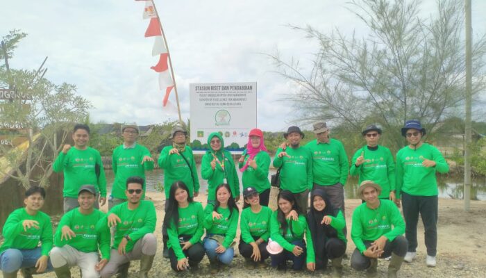 IKA USU Tanam 20.000 Bibit Mangrove Di Desa Beras Basah, Langkat
