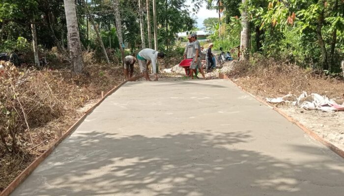 Pembangunan Jalan Rabat Beton Biak Muli Gunakan DD