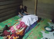 Warga Agara Tewas Diinjak Gajah