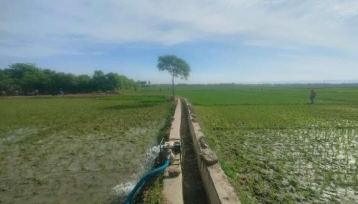 Airi Sawah, Petani Blang Raya Andalkan Pompanisasi