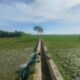 Airi Sawah, Petani Blang Raya Andalkan Pompanisasi