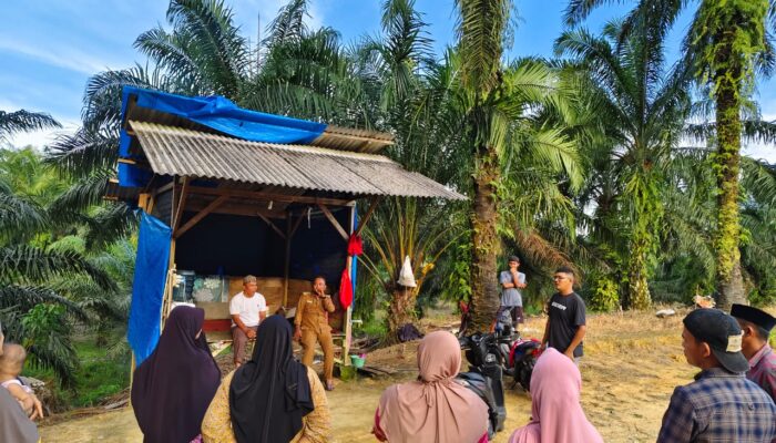 Warga Lae Pemualen Sesalkan Keberadaan Kandang Ternak Ayam
