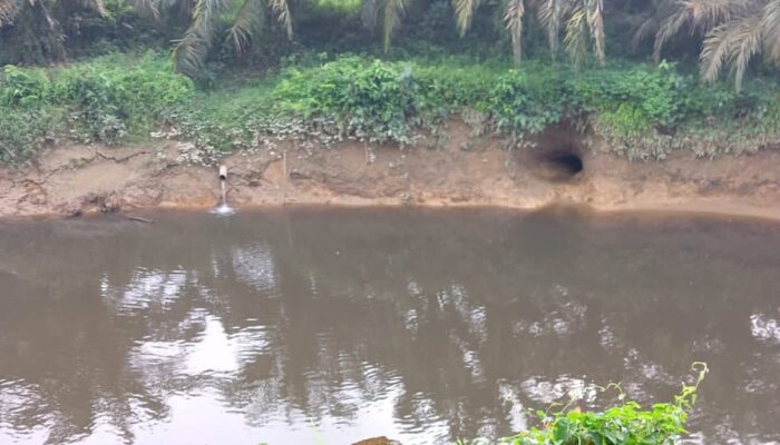 Terkait Pencemaran Krueng Trang, DLH Turunkan Tim