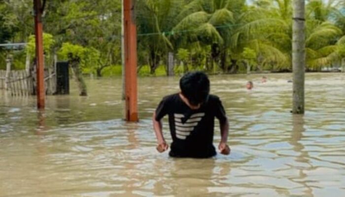 Lima Desa Terendam Banjir Di Bireuen