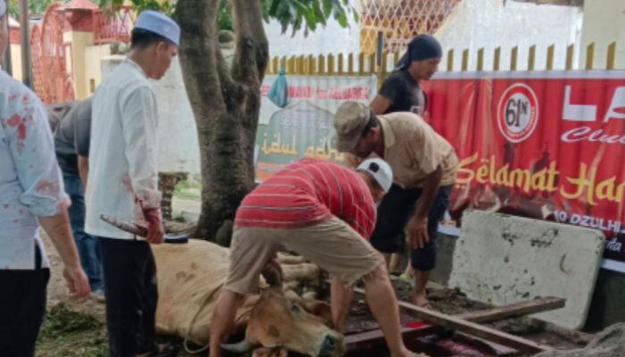 Ladon Sembelih 8 Hewan Kurban: Jadikan Momentum Idul Adha Untuk Berbagi Kepada Sesama