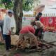 PELAKSANAAN kurban di markas Ladon Club Indonesia Jalan Nusantara, Kelurahan Kota Matsum III, Kecamatan Medan Kota, Kota Medan, Senin (17/6/24). Waspada/ist