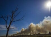 Awal Juni, Sejumlah Wilayah Indonesia Musim Kemarau, Ini Daerahnya