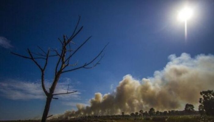 Awal Juni, Sejumlah Wilayah Indonesia Musim Kemarau, Ini Daerahnya