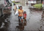 Banjir Rendam 87 Desa, BNPB Rekom Status Kalimantan Tengah Darurat