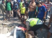 KA Tabrak Truk Trailer Dan Sepedamotor, 1 Tewas