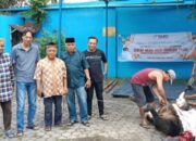 SMSI Sembelih Hewan Kurban Di Kampus STIK-P