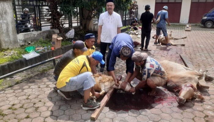 Rayakan Idul Adha 1445 H PWI Sumut Sembelih 5 Ekor Sapi Dan 3 Ekor Kambing