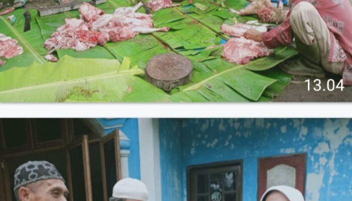 Idul Adha 1445 H BKMT Sumut Sembelih Hewan Kurban Di Tiga Kabupaten
